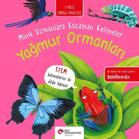 Yağmur Ormanları: Minik Uzmanlar için Eğlenceli Bilgi