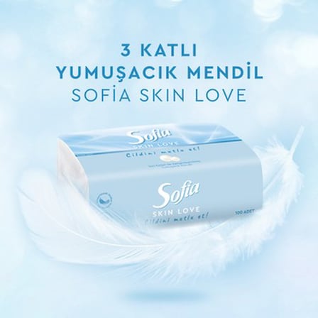 100'LÜ x 12 Mendil ile Yumuşak ve Pratik Kullanım