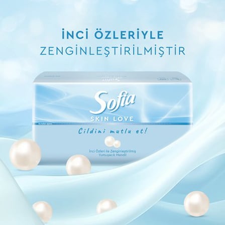 100'LÜ x 12 Mendil ile Yumuşak ve Pratik Kullanım