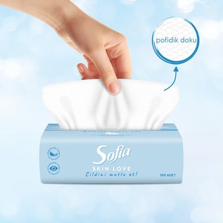 100'LÜ x 12 Mendil ile Yumuşak ve Pratik Kullanım