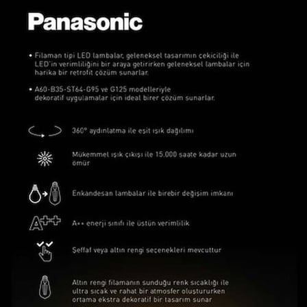 Panasonic E14 LED Filaman Rustik Lamba 4W 470LM 2700K Clear