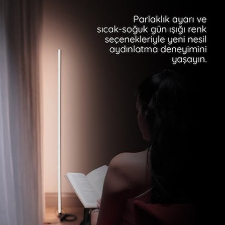 Dekoratif Lambader ile Şık Salon Aydınlatması Sağlayın