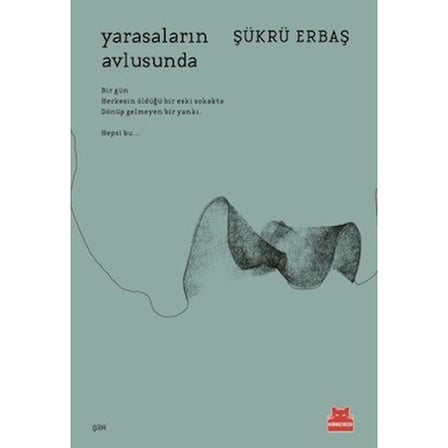 Yarasaların Avlusunda - Edebiyat Romanı, Sıradışı Bir Hikaye