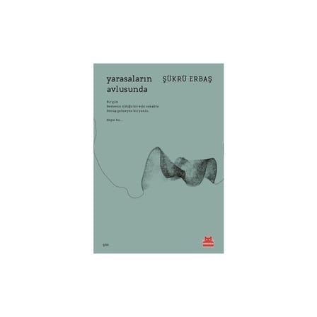 Yarasaların Avlusunda - Edebiyat Romanı, Sıradışı Bir Hikaye