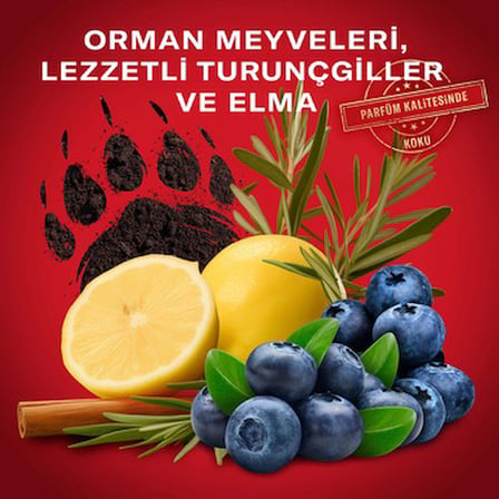 Stick Deodorant 50 Gr Erkekler İçin Ferahlatıcı Etki