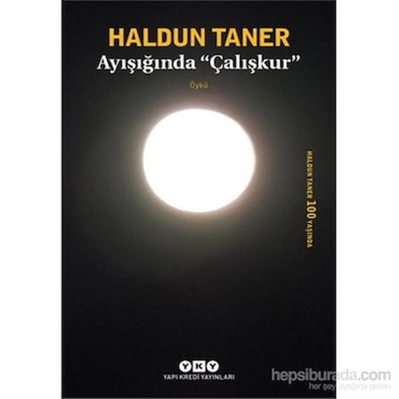 Ayışığında ‘'Çalışkur'' - Şiirsel Anlatım, Duygusal Derinlik
