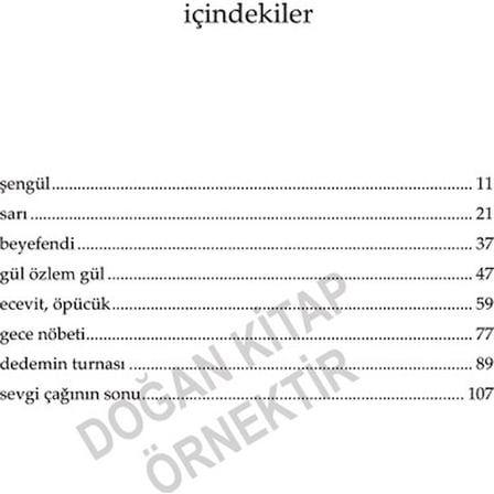 Sarıyaz - Roman, Türk Edebiyatı