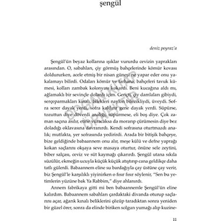 Sarıyaz - Roman, Türk Edebiyatı