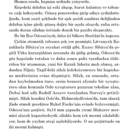 Polis: Suç ve Adalet Temalı Bir Roman