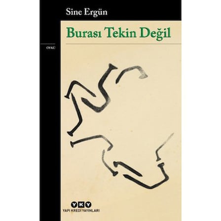 Burası Tekin Değil - Edebiyat Romanı, Sıra Dışı Bir Deneyim