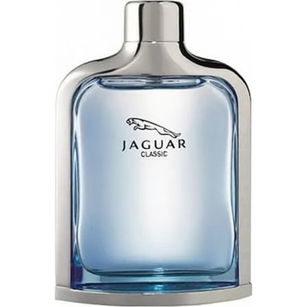 100 ml Ferahlatıcı Koku ile Erkek Parfümü, Classic EDT