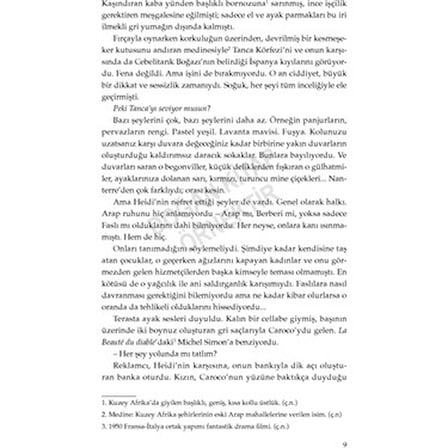 Jean-Christophe'in Güneşsiz 2: Gölgelerin Kralı ile Gizem