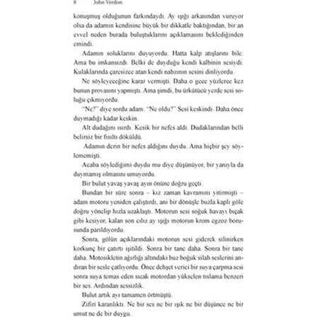 Kurt Gölü - Edebiyat Romanı, Gizemli Olaylar