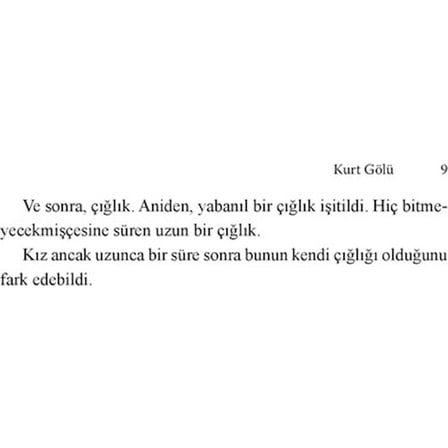 Kurt Gölü - Edebiyat Romanı, Gizemli Olaylar