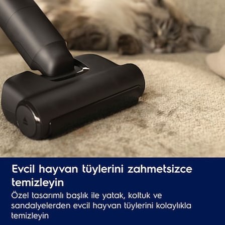 Electrolux EP82AB25UG 800 Serisi Animal Dikey Şarjlı Süpürge, 10 Yıl Motor