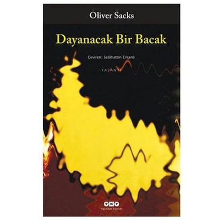 Oliver'ın Dayanma Gücü, İlginç Bir Roman
