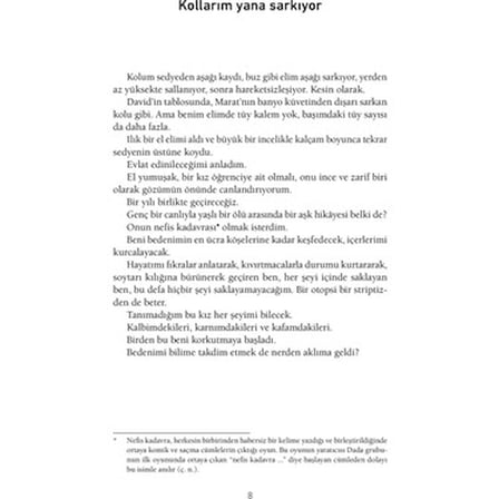 Otopsim - Roman, Gizemli Olaylar