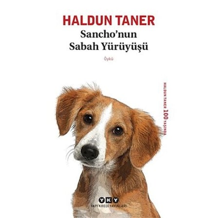 Haldun'un Sabah Yürüyüşü, Edebi Bir Yolculuk