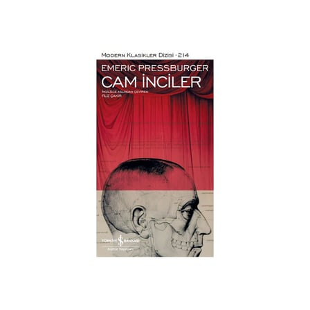Cam Inciler: Hayal Gücünün Sınırlarını Zorlayan Bir Hikaye