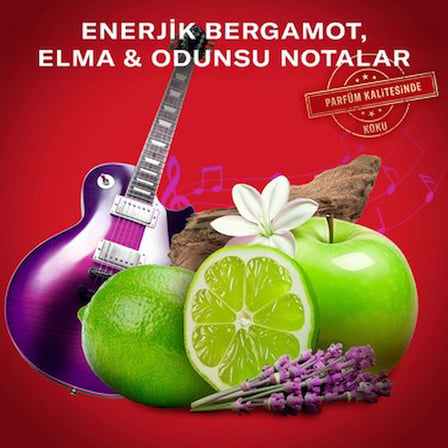 Duş jeli ve şampuan seti, 400 ml, erkekler için