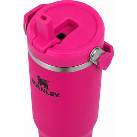 Koyu Pembe Renkli 0.89 Litre Termos ile Şık Tasarım