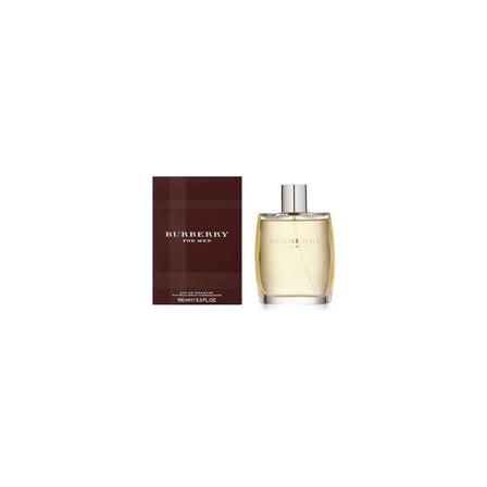 Şık ve elegan bir koku sunan erkek parfümü, 100 ml boyutunda