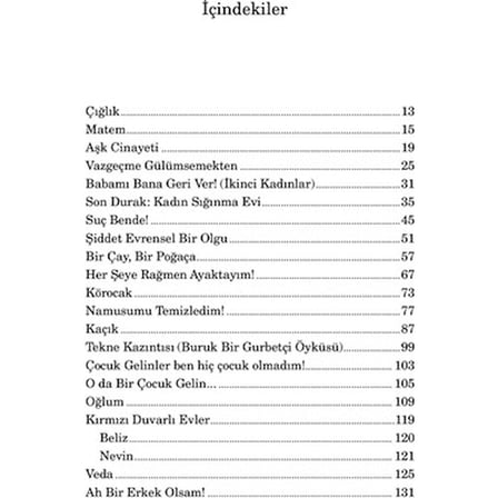 Issız Kadınlar Sokağı Anı Kitabı