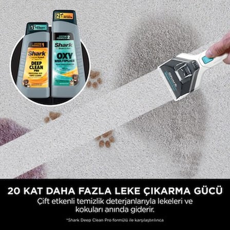 Pet Başlıklı Koltuk Yıkama ve Leke Çıkarma Makinesi - Etkili Temizlik