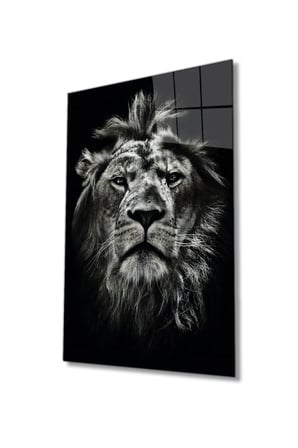 Aslan Hayvan Portresi Cam Tablo, Ev ve Ofis Duvar Dekoru, Hediyelik Büyük Temperli 4 mm Cam Tablo