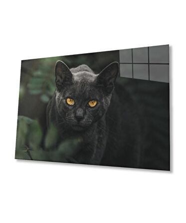 Siyah Kedi Cam Tablo