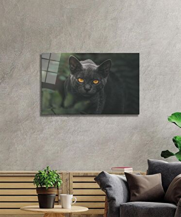 Siyah Kedi Cam Tablo