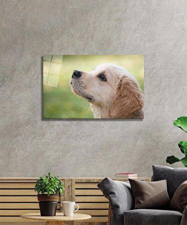 Köpek 1 Cam Tablo