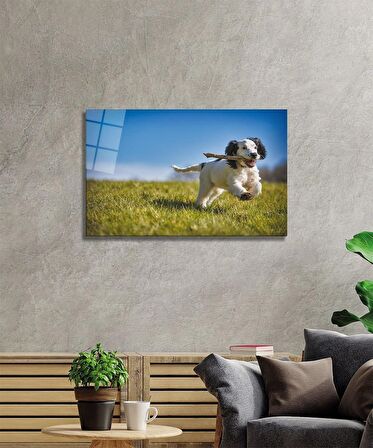Köpek 3 Cam Tablo
