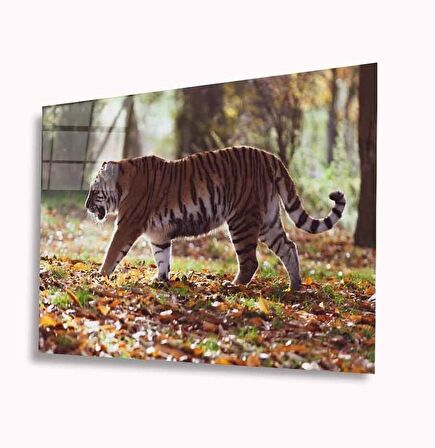 Kaplan Cam Tablo 4mm Dayanıklı Temperli Cam