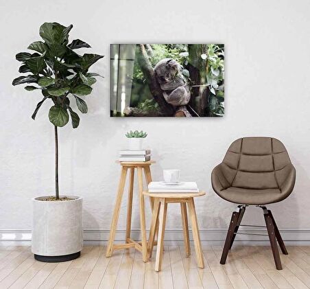 Koala Cam Tablo 4mm Dayanıklı Temperli Cam