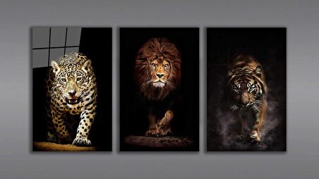 Aslan,Kaplan,Jaguar 3 lü Set  Cam Tablo