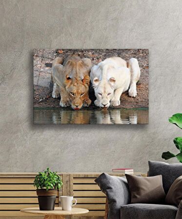  Aslan Hayvan Cam Tablo 4mm Dayanıklı Temperli Cam