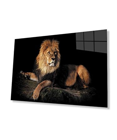  Aslan Hayvan Cam Tablo 4mm Dayanıklı Temperli Cam