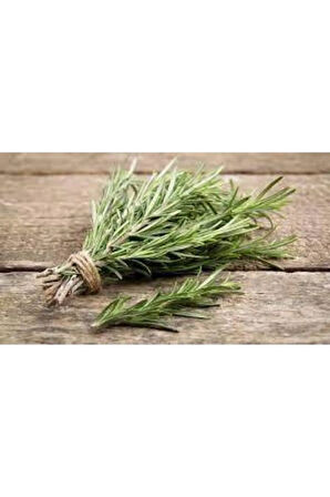 20 Adet Nadir Biberiye Bitkisi Tohumu Biberiye Hediye Sürpriz Hediye Tohumludur