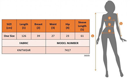 Livizmir Moda Kadın Uzun Kollu Triko Elbise