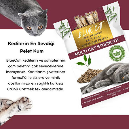 BLUECAT Çam Peleti Kedi Kumu Net 10 kg - 20 lt - Topaklanmayan %100 Organik