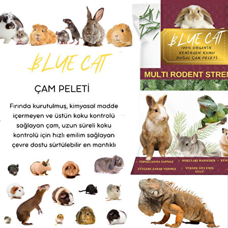 BLUECAT Çam Peleti Kafes Altlığı Tavşan Kumu Net 10 KG - 20 LT Topaklanmayan %100 Organik