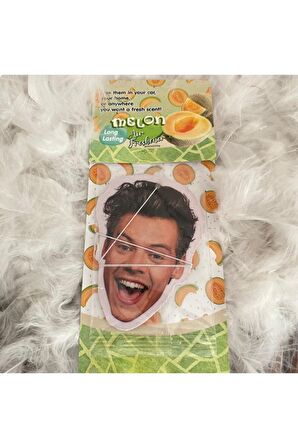 Harry Styles Araba Kokusu, Hediyelik Otomobil Kokusu (4'Lü Set)