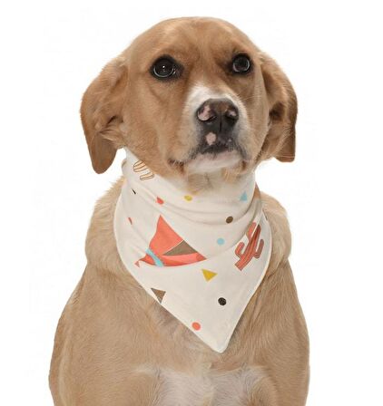 Köpek Bandana / Tepee