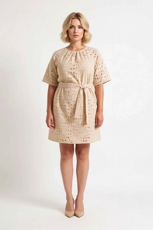 Kadın Büyük Beden Brode Desenli A-Line Elbise Balon Kol Bisiklet Yaka Kısa Rahat Günlük Modern Şık