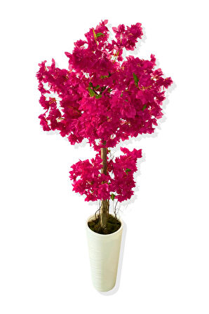 YAPAY AĞAÇ FUŞYA BEGONVİL 190 CM 56X30X20 BEYAZ KUMSAL SAKSI