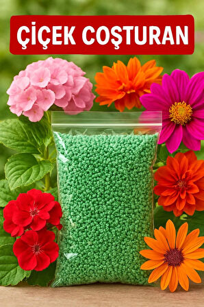 Çiçek Yetiştirme Seti: Dahlia, Ortanca, Karanfil Tohumu+Çiçek Coşturan+Solucan Gübreli Toprak+Saksı