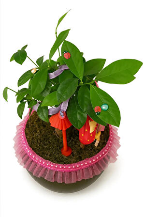 Efsun Bonsai – Özel Süslemeli Ficus Ginseng Şık ve Doğal Dekoratif Ağaç