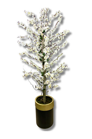 Beyaz Bahar Dalı 200 Cm 30x25 Gold Kemerli Siyah Saksı