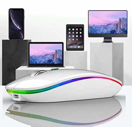 QASUL 2.4GHz Kablosuz Çalışma Fare USB Şarj Edilebilir LED lamba RGB Fare Sessiz Ergonomik Dilsiz Fare Aydınlatmalı Dizüstü PC Ipad